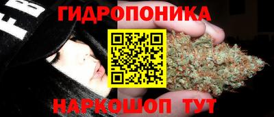 спиды Заводоуковск